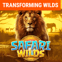 Safari Hoang Dã icon